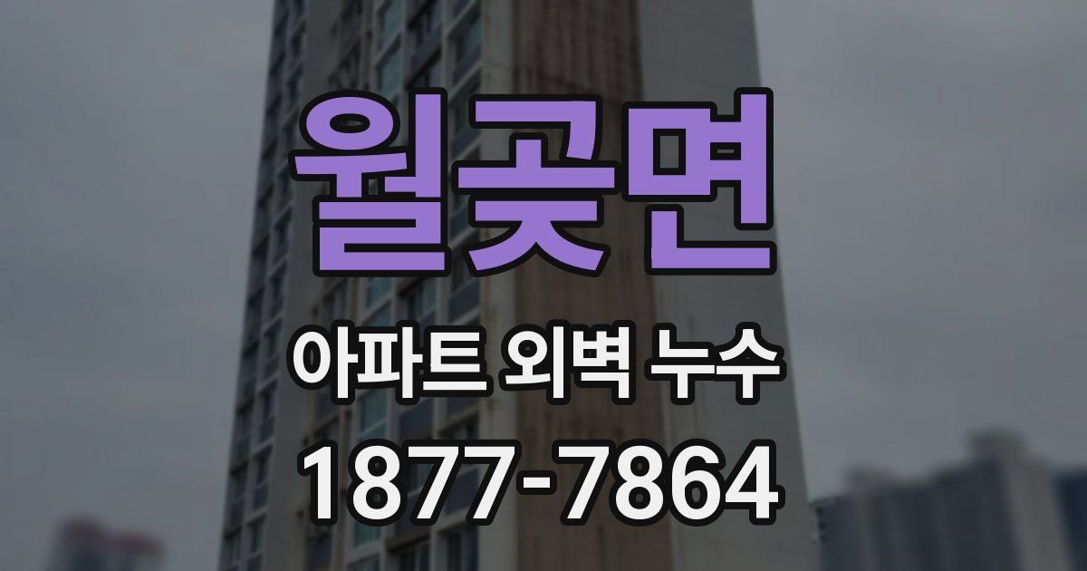 월곶면 아파트 외벽 누수