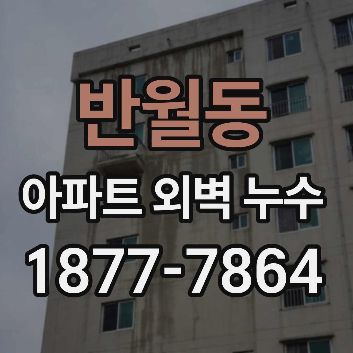반월동 아파트 외벽 누수