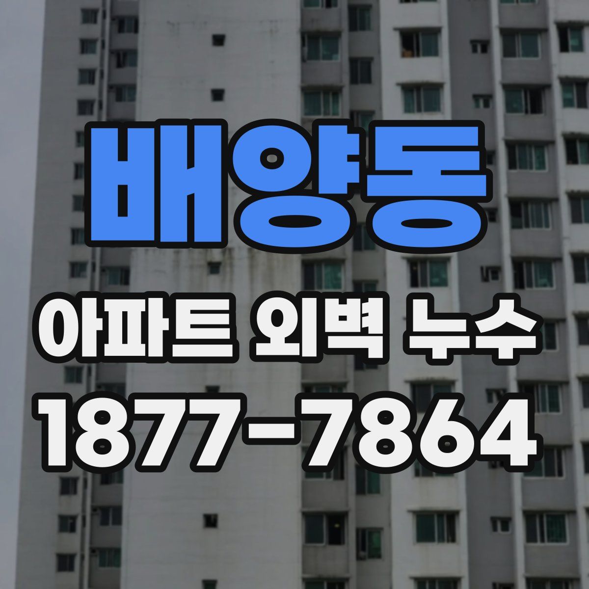 배양동 아파트 외벽 누수