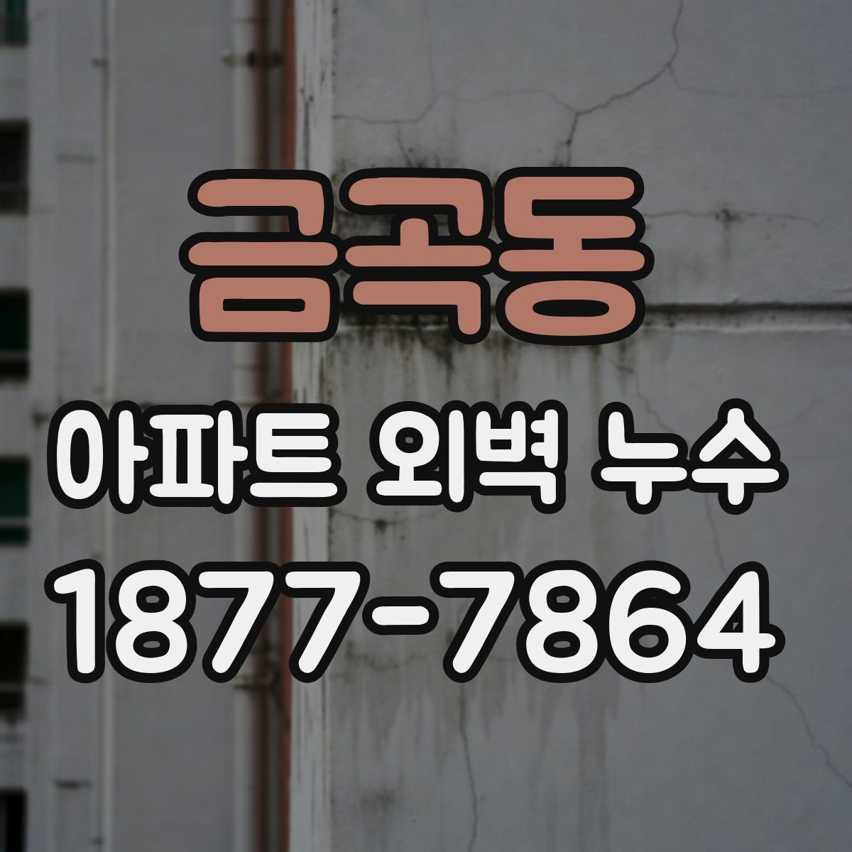 금곡동 아파트 외벽 누수