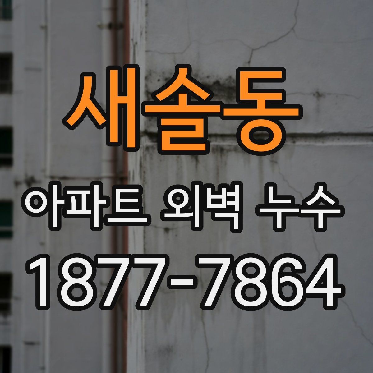 새솔동 아파트 외벽 누수 주변 세대와 함께 확인해야 할 부분