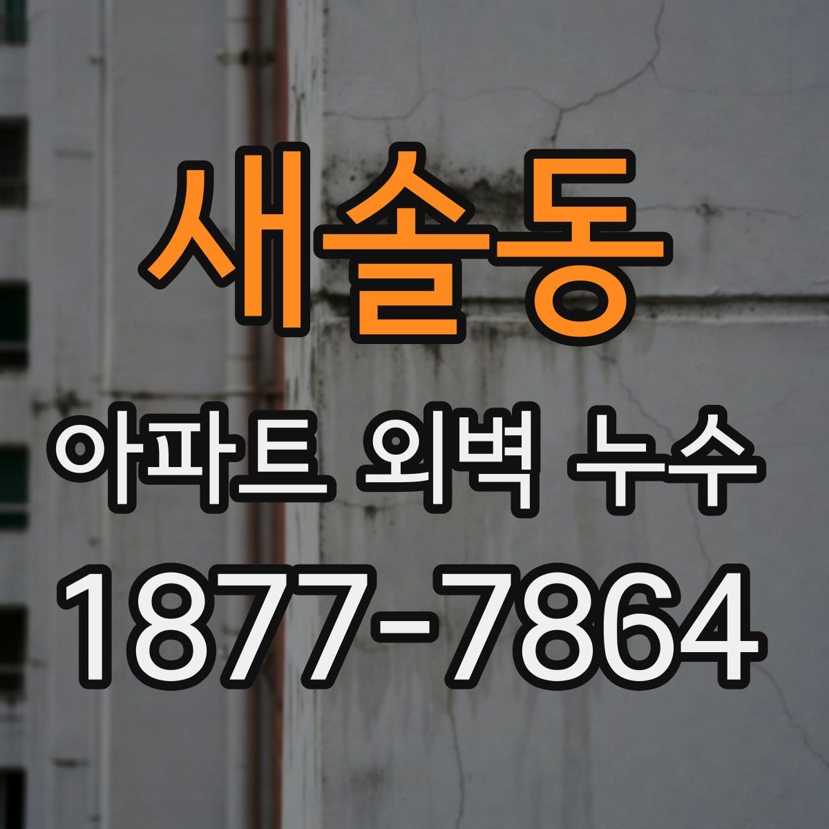 새솔동 아파트 외벽 누수