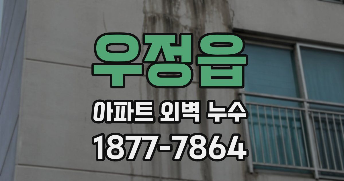 우정읍 아파트 외벽 누수