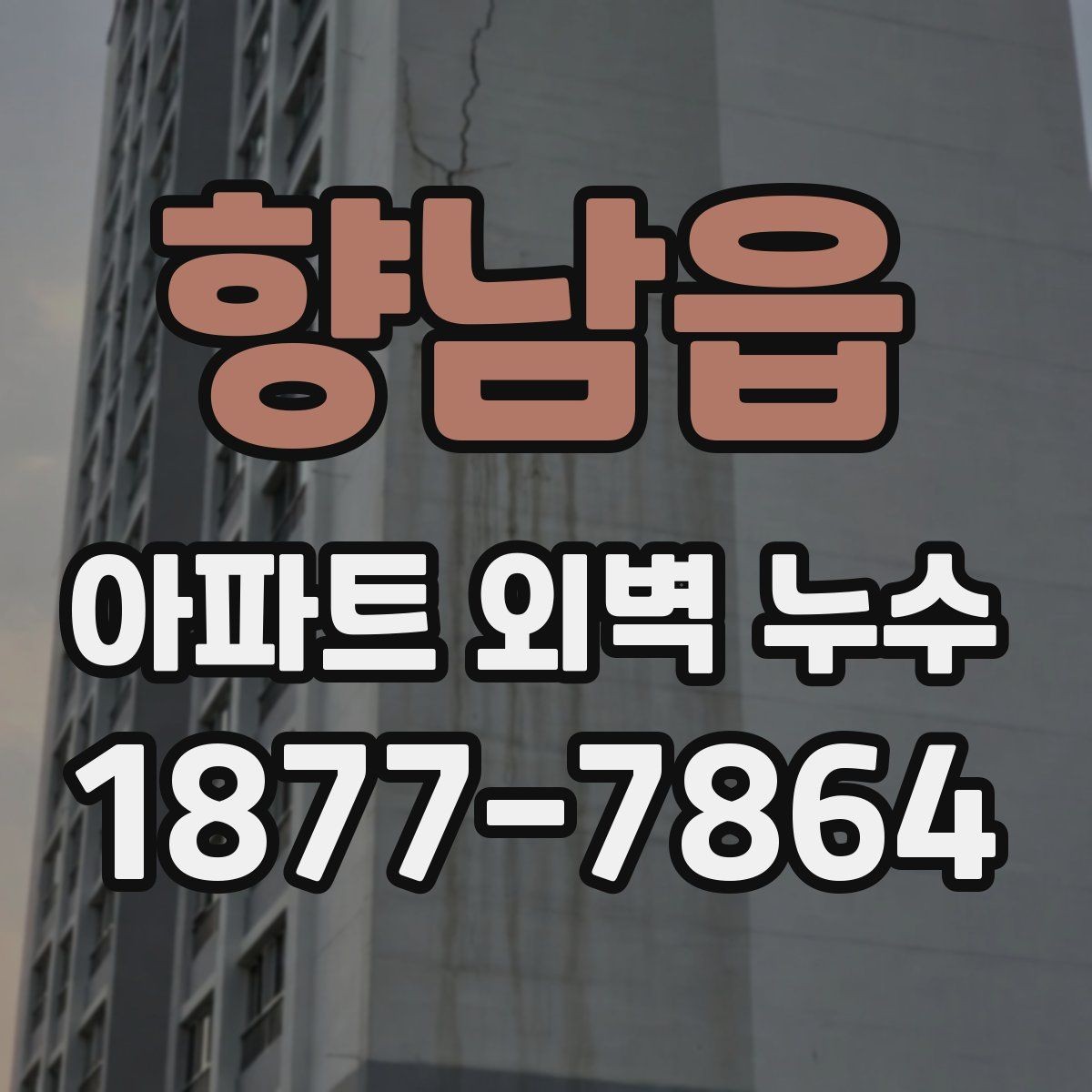 향남읍 아파트 외벽 누수 발생 사례로 보는 원인