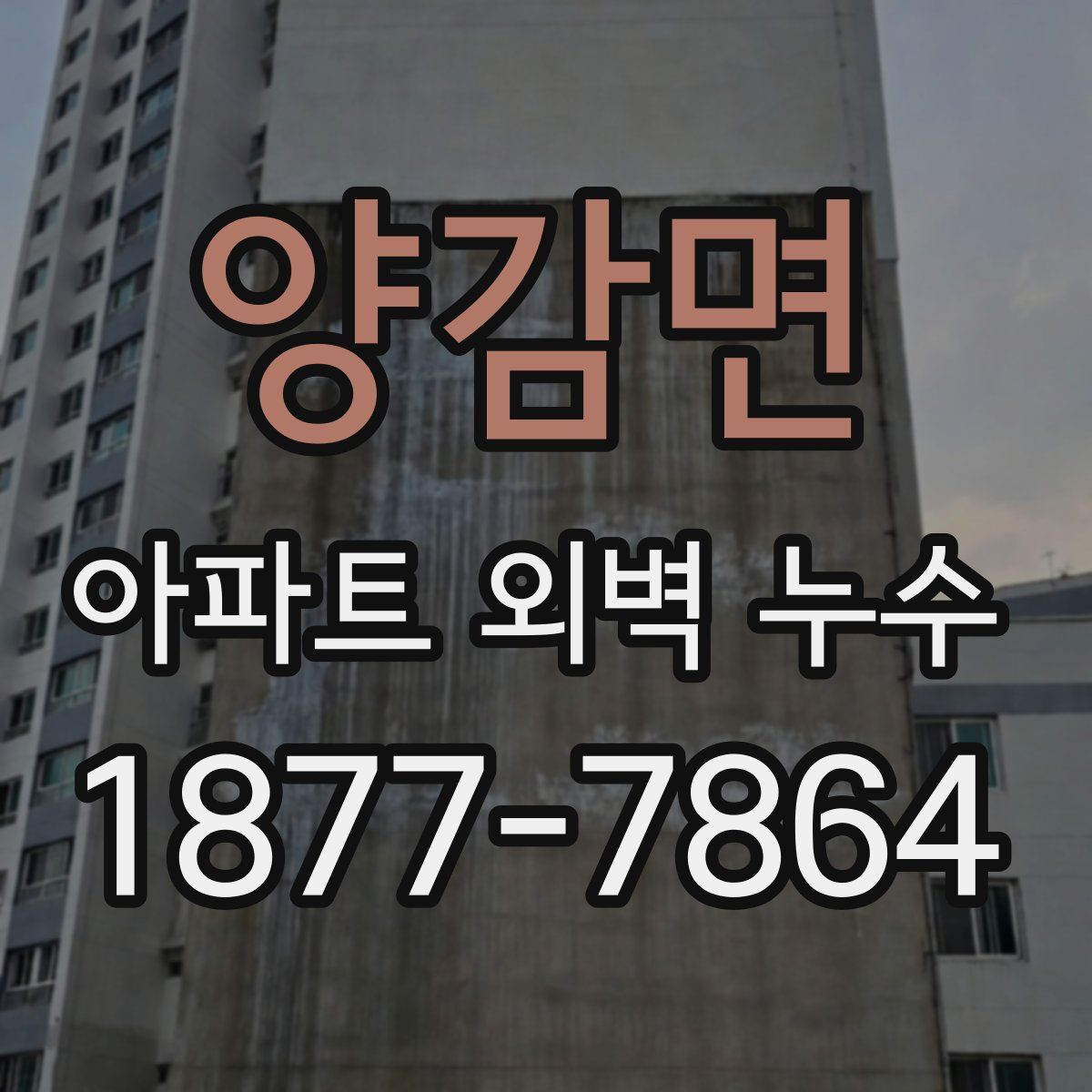 양감면 아파트 외벽 누수