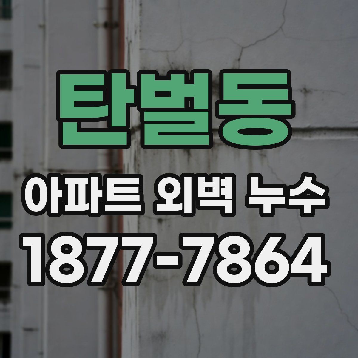 탄벌동 아파트 외벽 누수 원인 파악이 어려운 이유