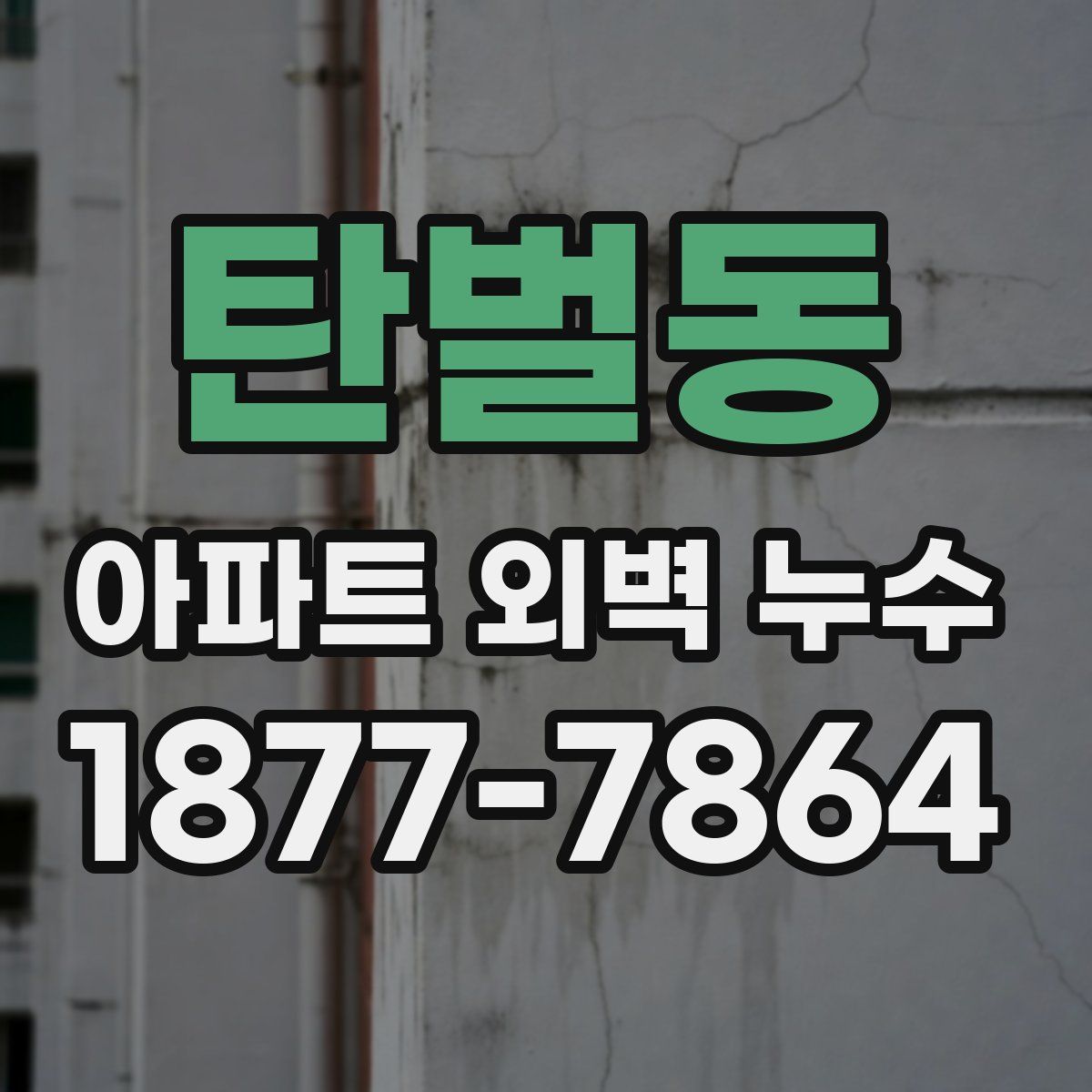 탄벌동 아파트 외벽 누수