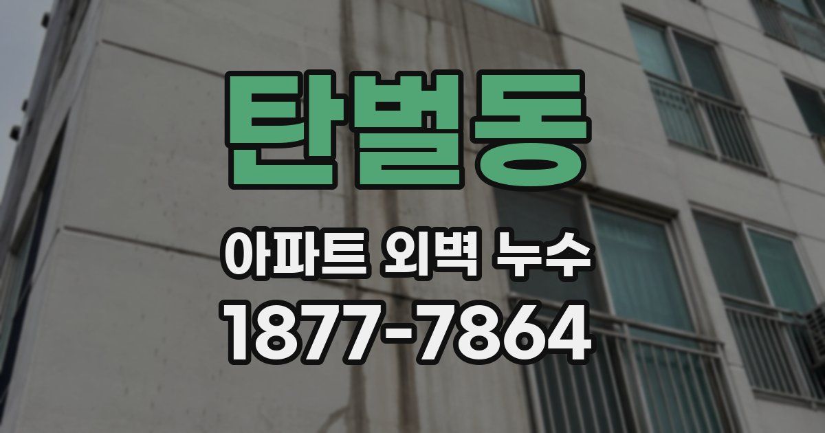 탄벌동 아파트 외벽 누수