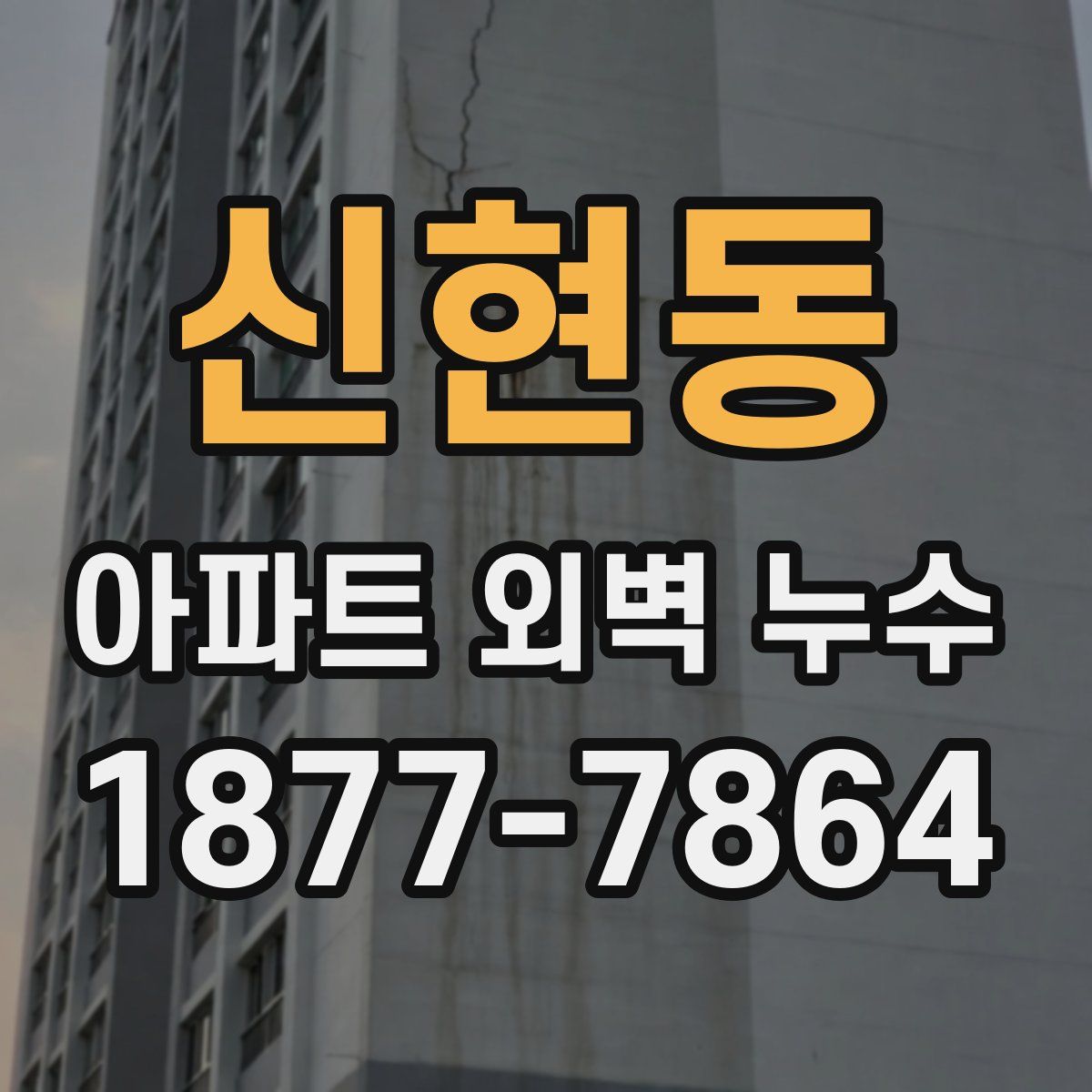 신현동 아파트 외벽 누수