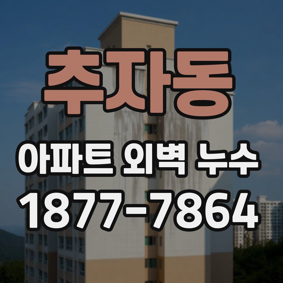 추자동 아파트 외벽 누수
