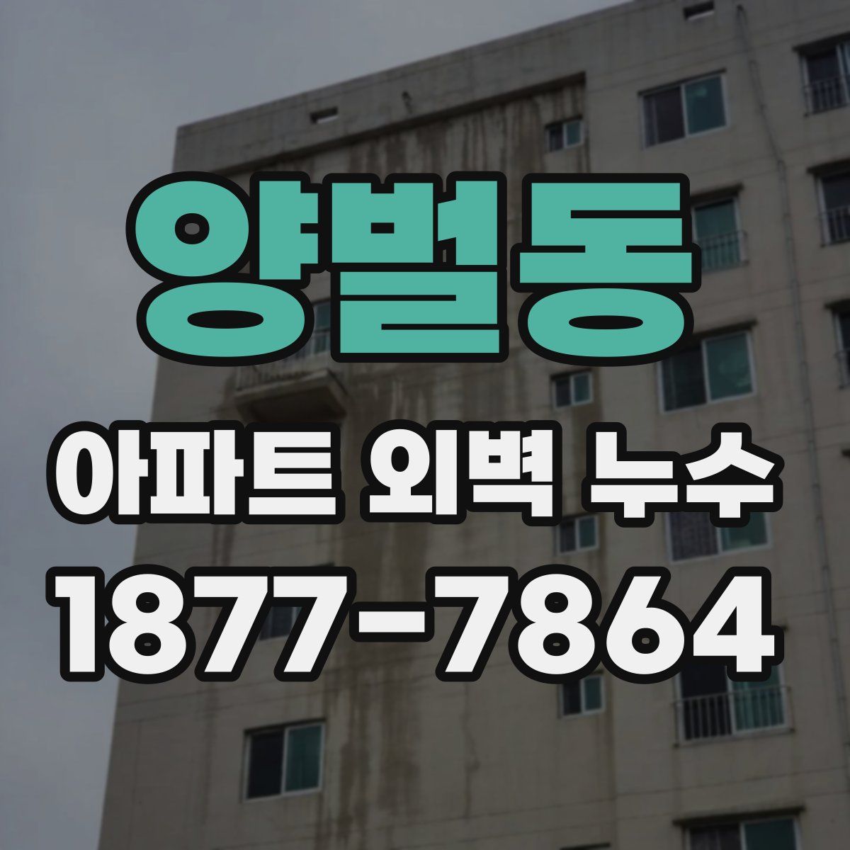 양벌동 아파트 외벽 누수