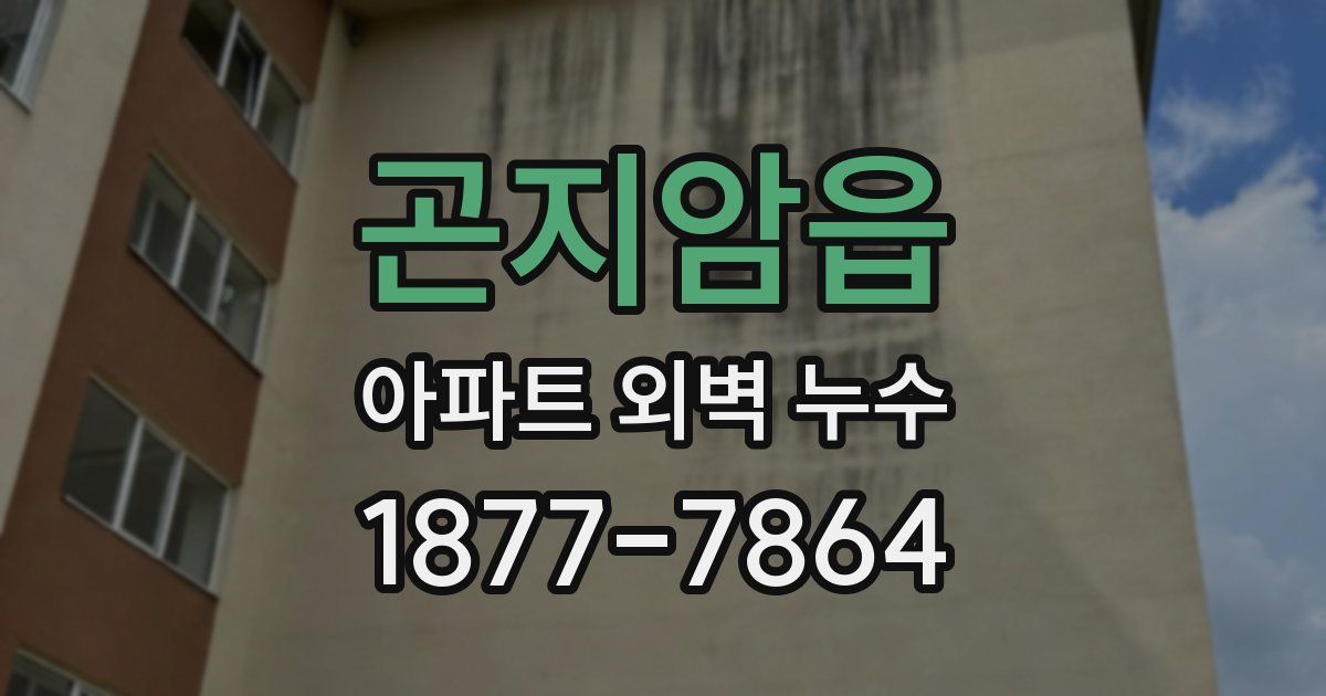 곤지암읍 아파트 외벽 누수