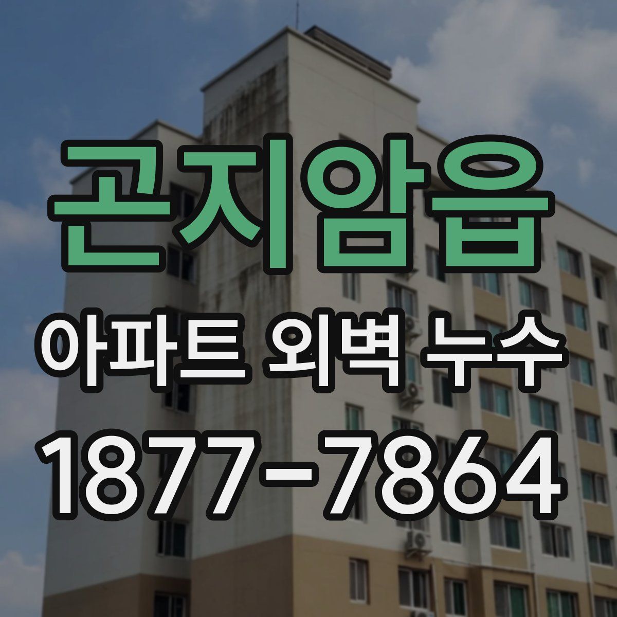 곤지암읍 아파트 외벽 누수