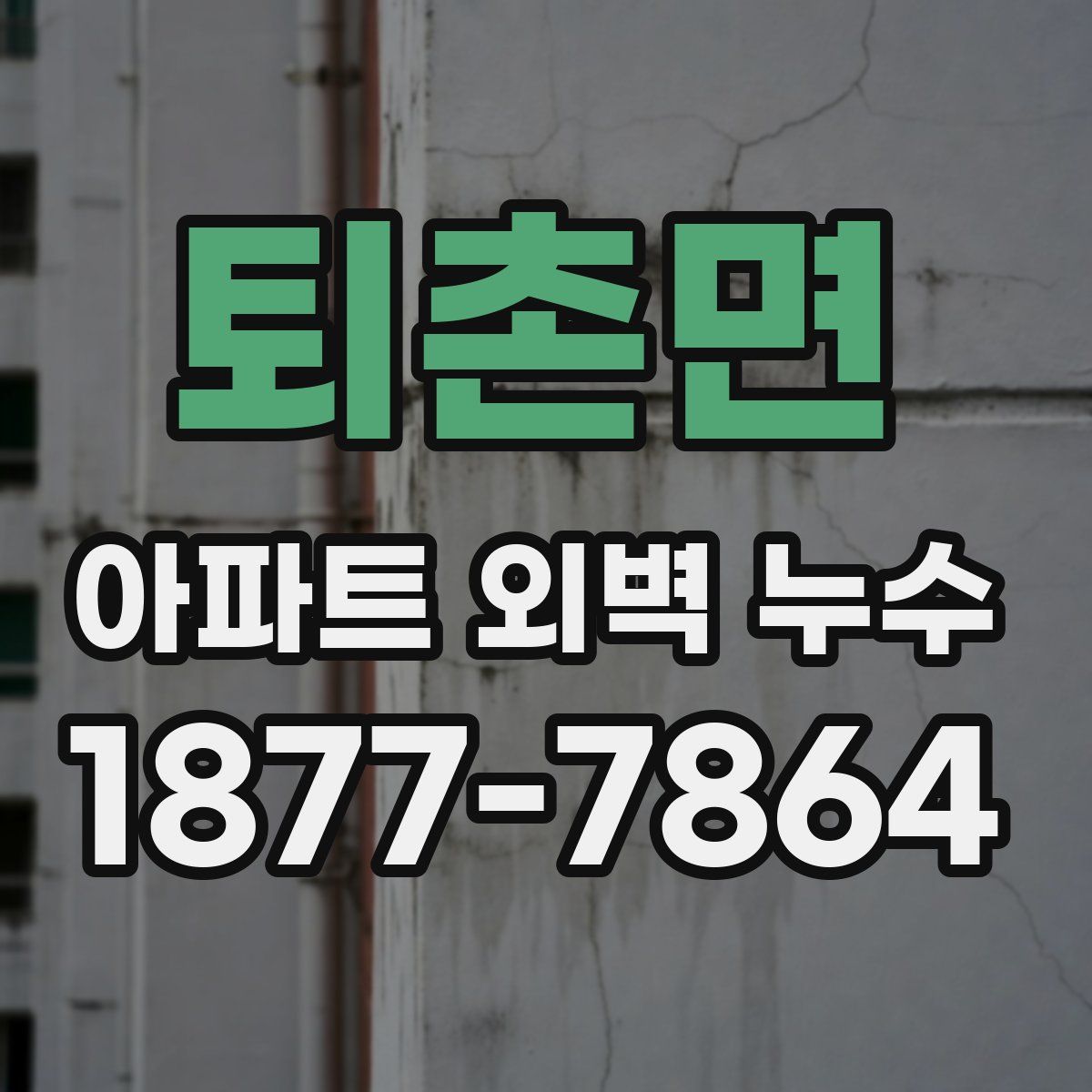 퇴촌면 아파트 외벽 누수
