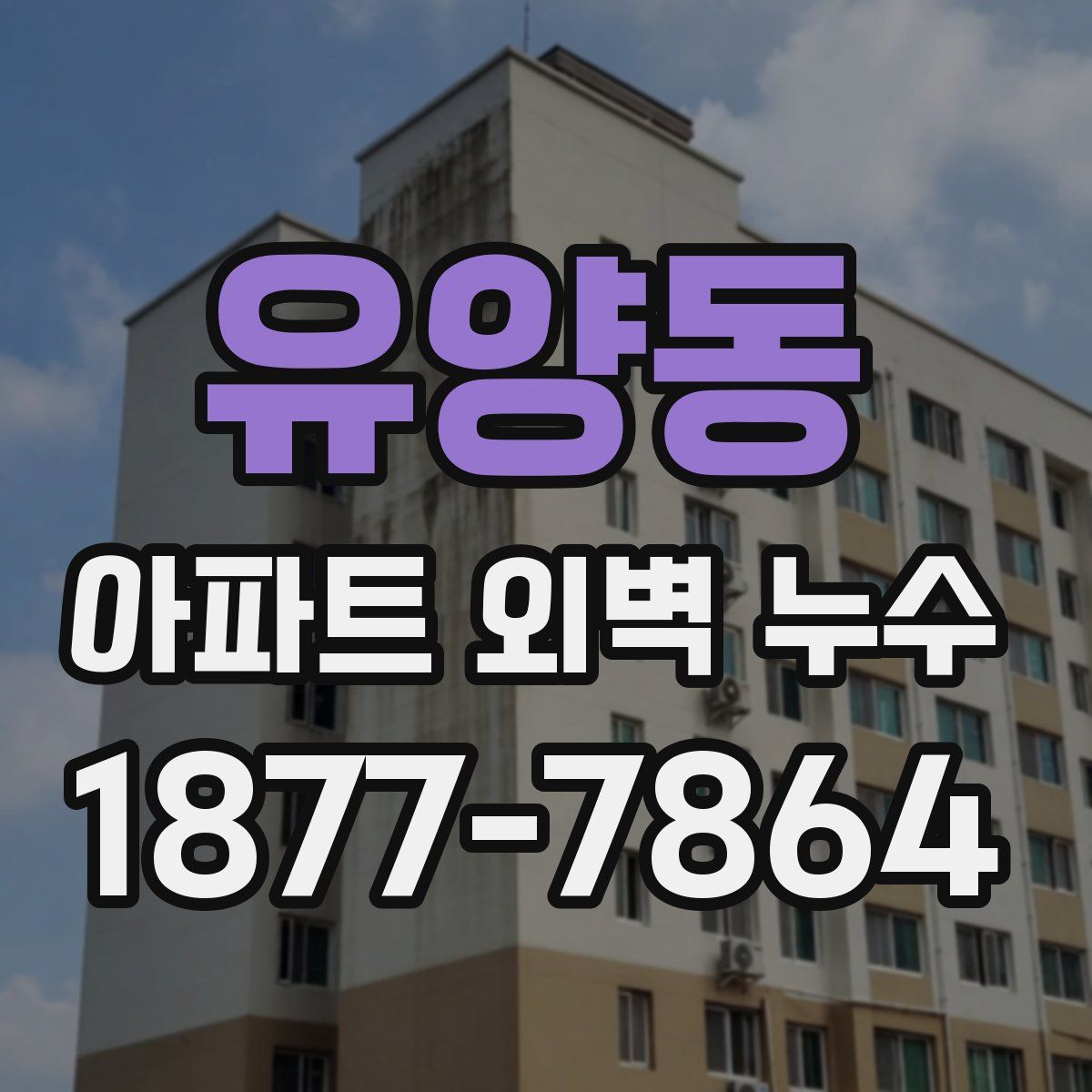 유양동 아파트 외벽 누수