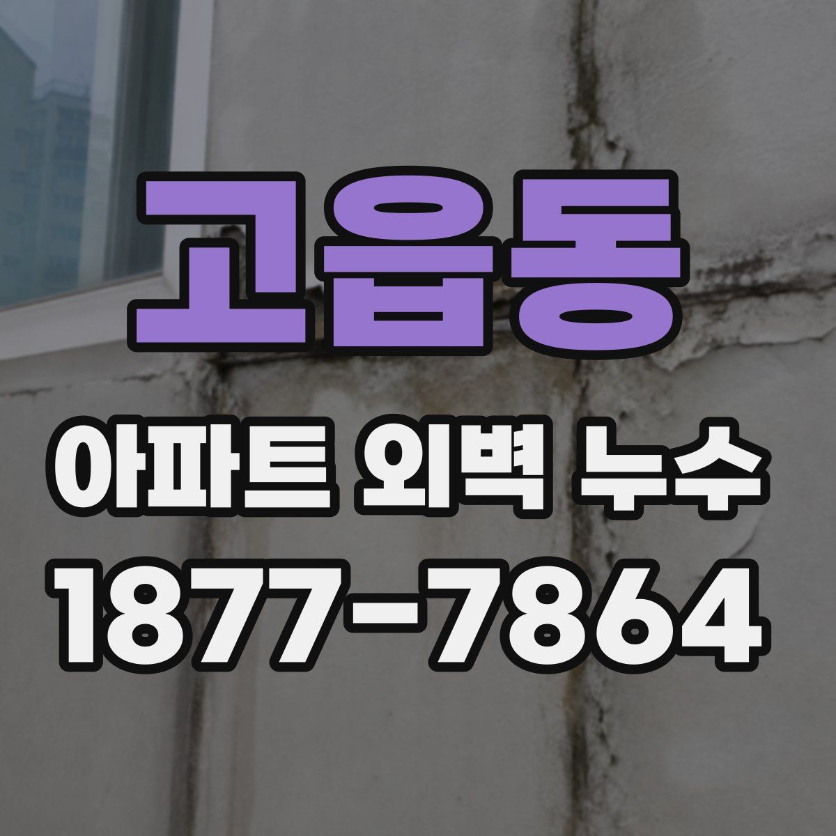 고읍동 아파트 외벽 누수