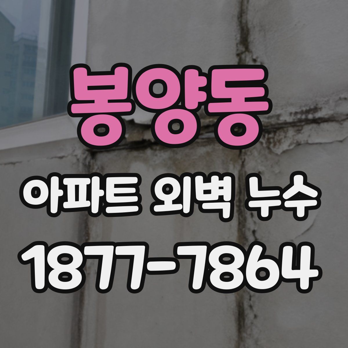 봉양동 아파트 외벽 누수