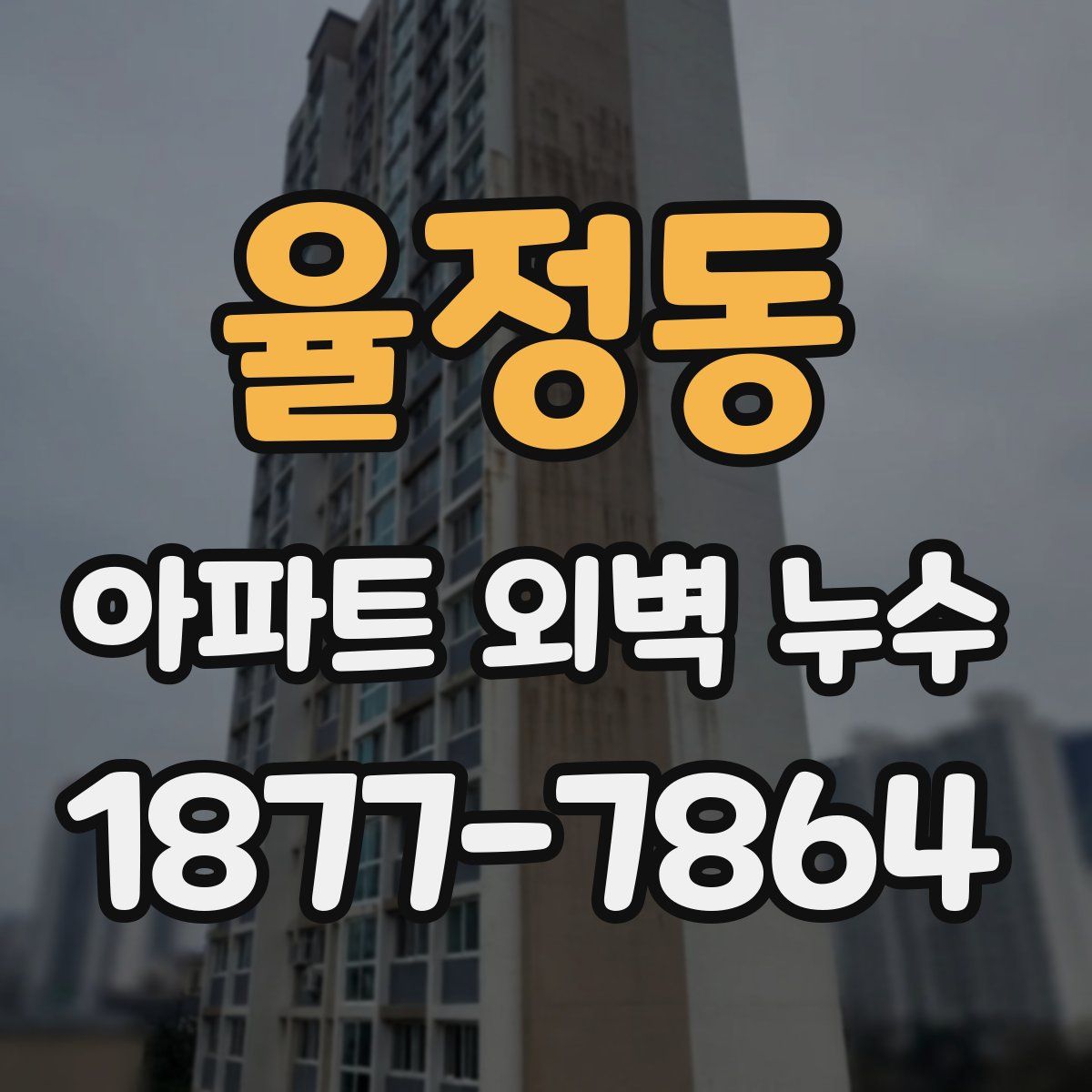 율정동 아파트 외벽 누수