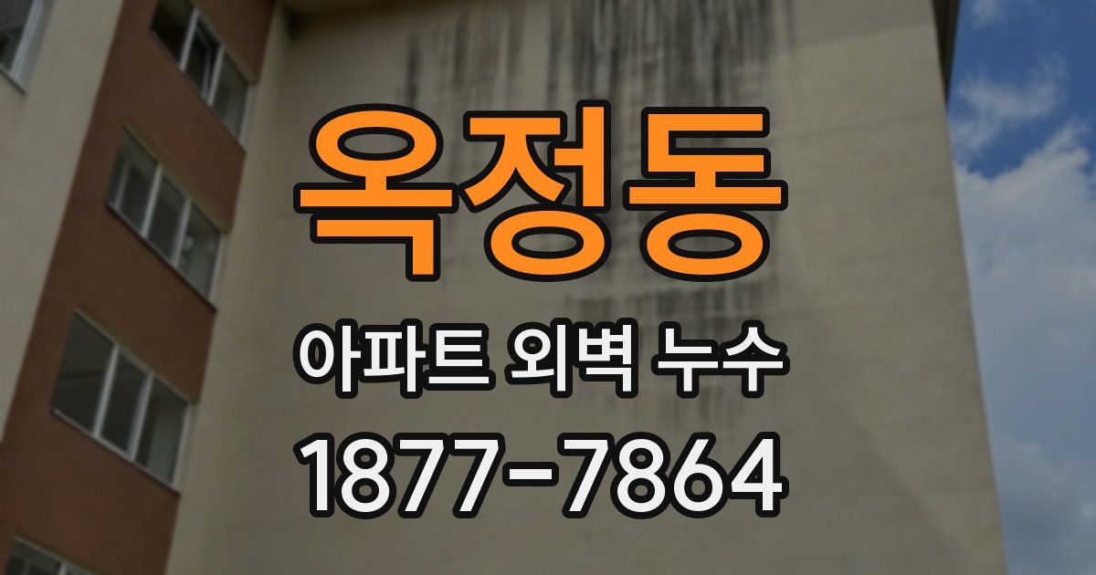 옥정동 아파트 외벽 누수