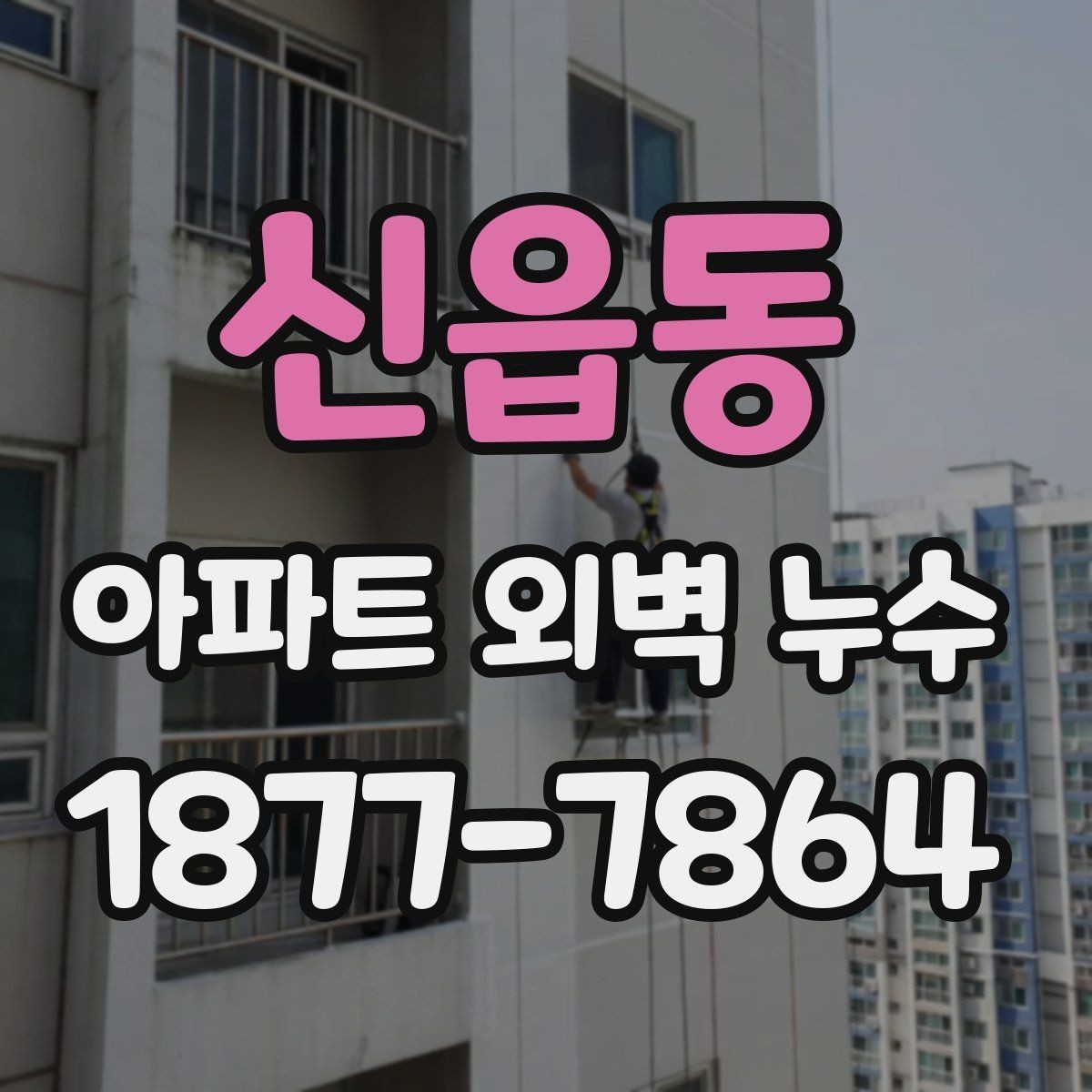 신읍동 아파트 외벽 누수 보수 방법 비교