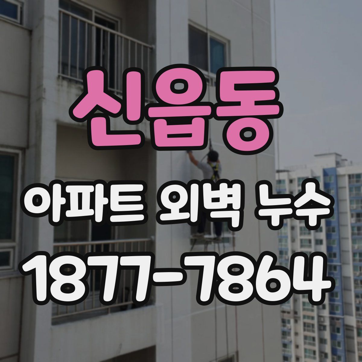 신읍동 아파트 외벽 누수