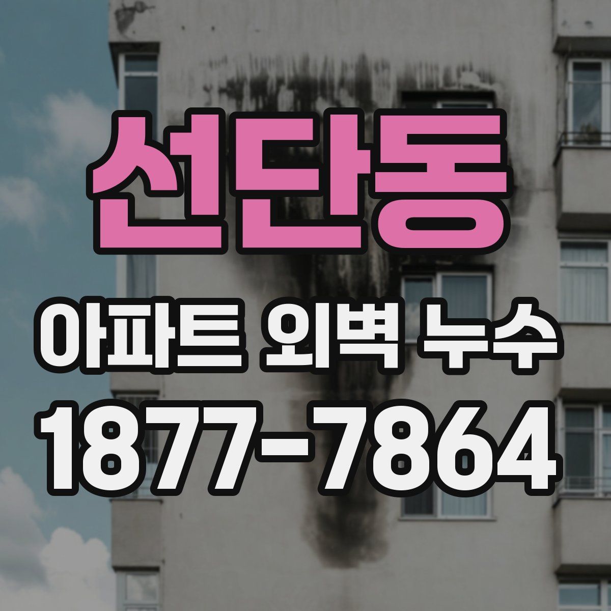 선단동 아파트 외벽 누수