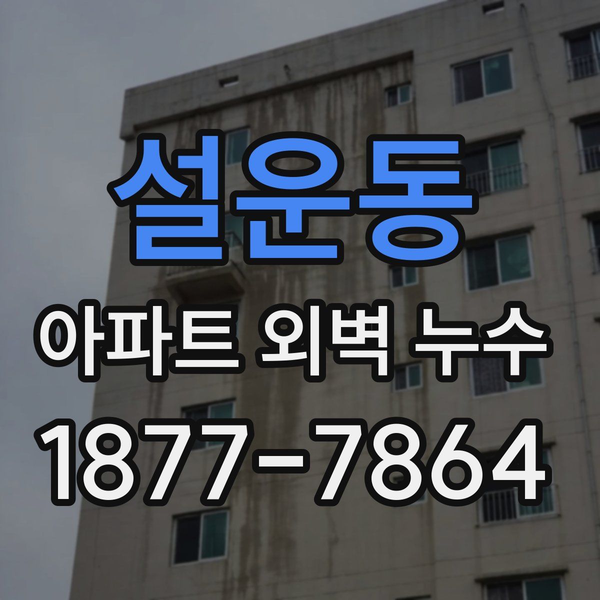 설운동 아파트 외벽 누수