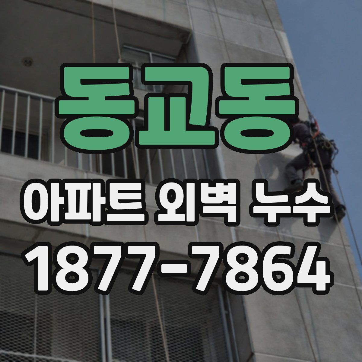 동교동 아파트 외벽 누수