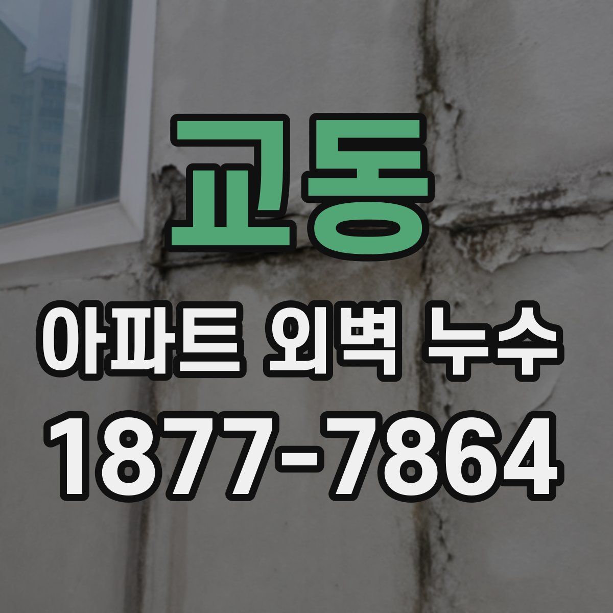 교동 아파트 외벽 누수