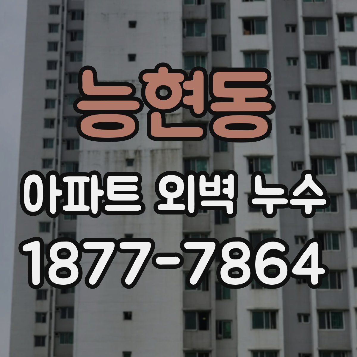 능현동 아파트 외벽 누수 판별을 위한 기본 점검 항목