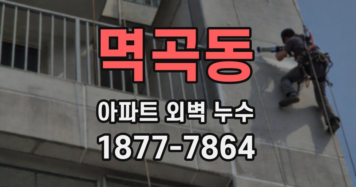 멱곡동 아파트 외벽 누수