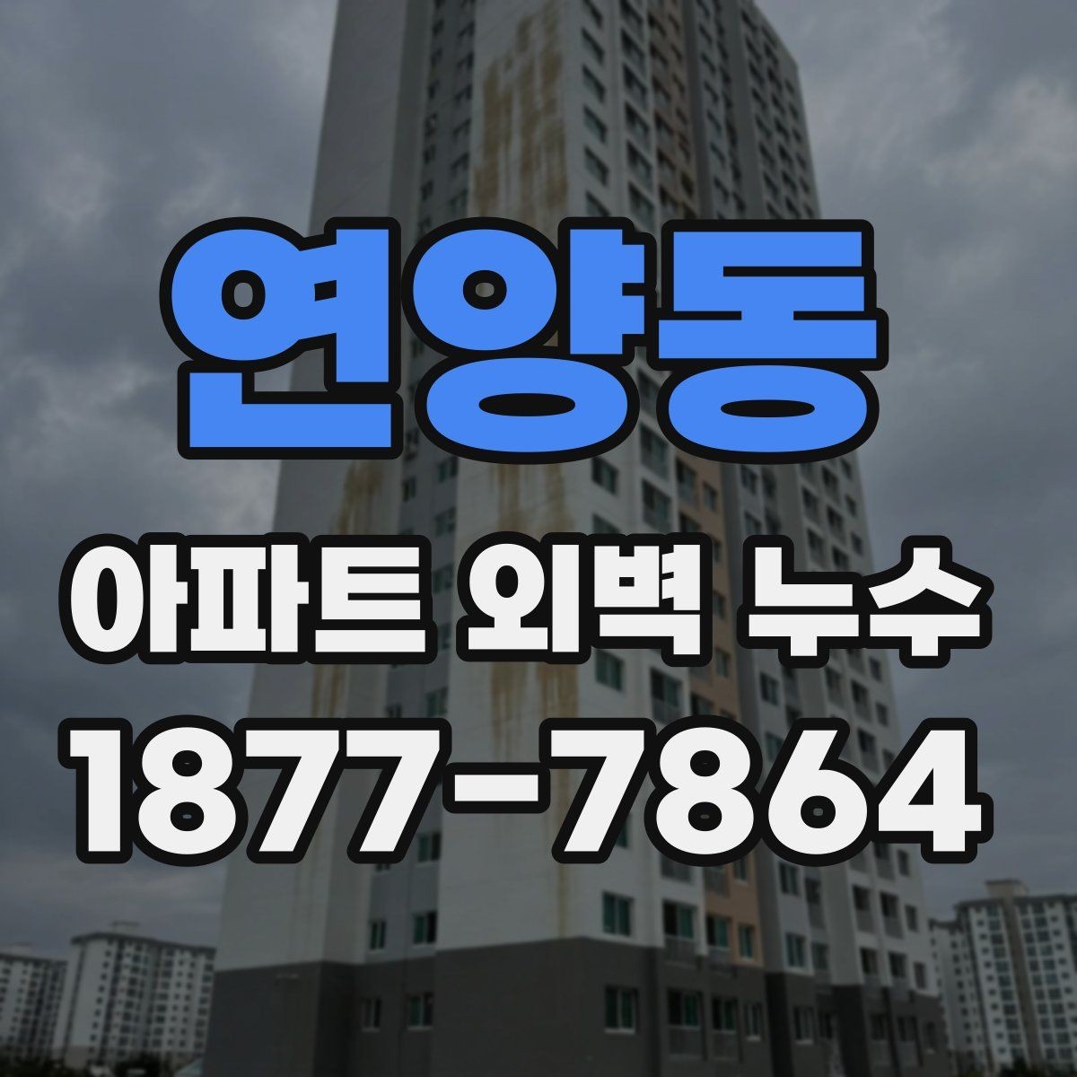 연양동 아파트 외벽 누수 보수 시공 절차 알아보기