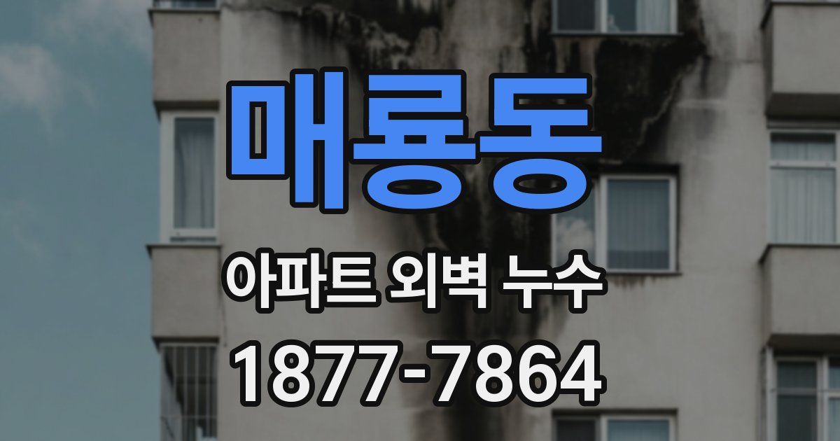 매룡동 아파트 외벽 누수