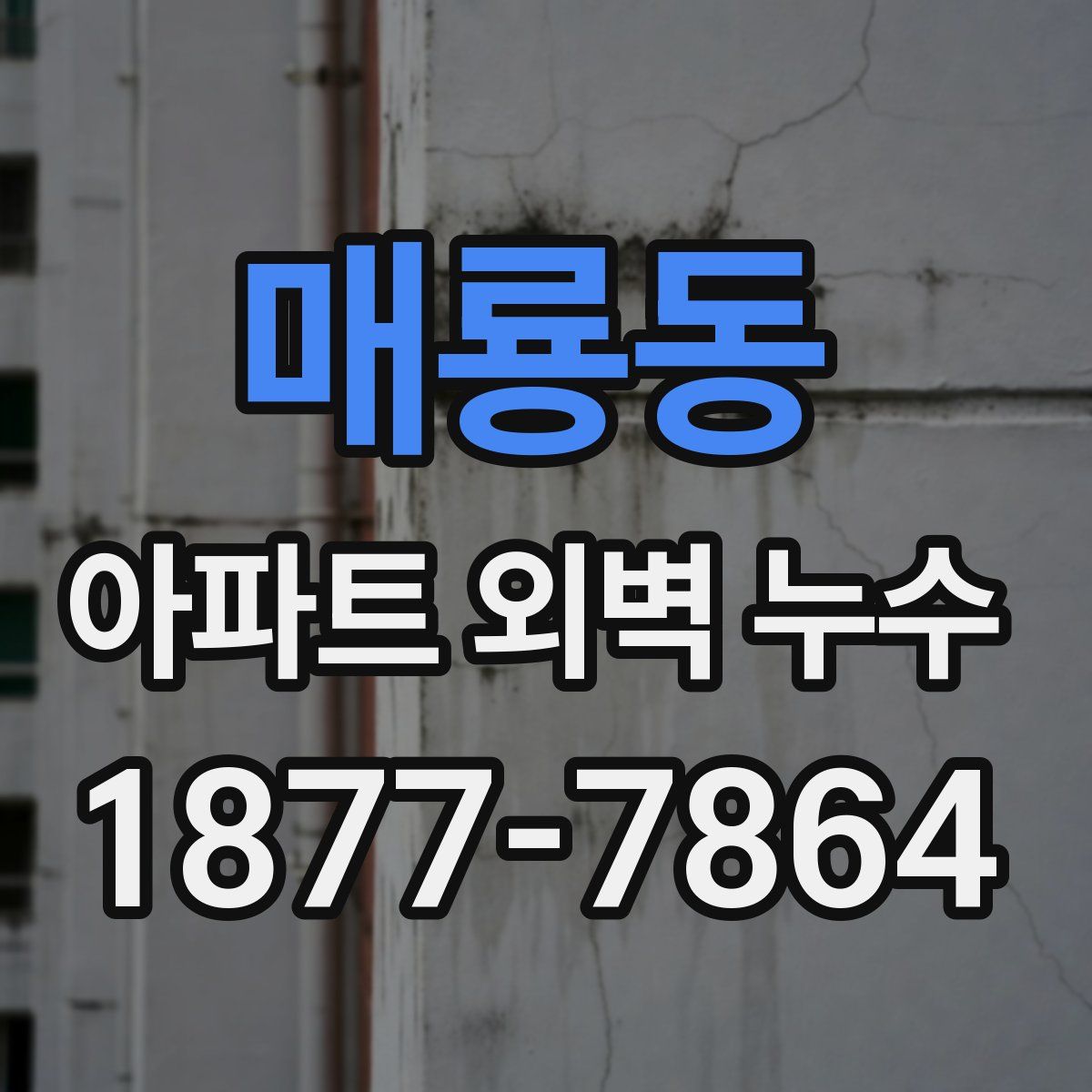 매룡동 아파트 외벽 누수