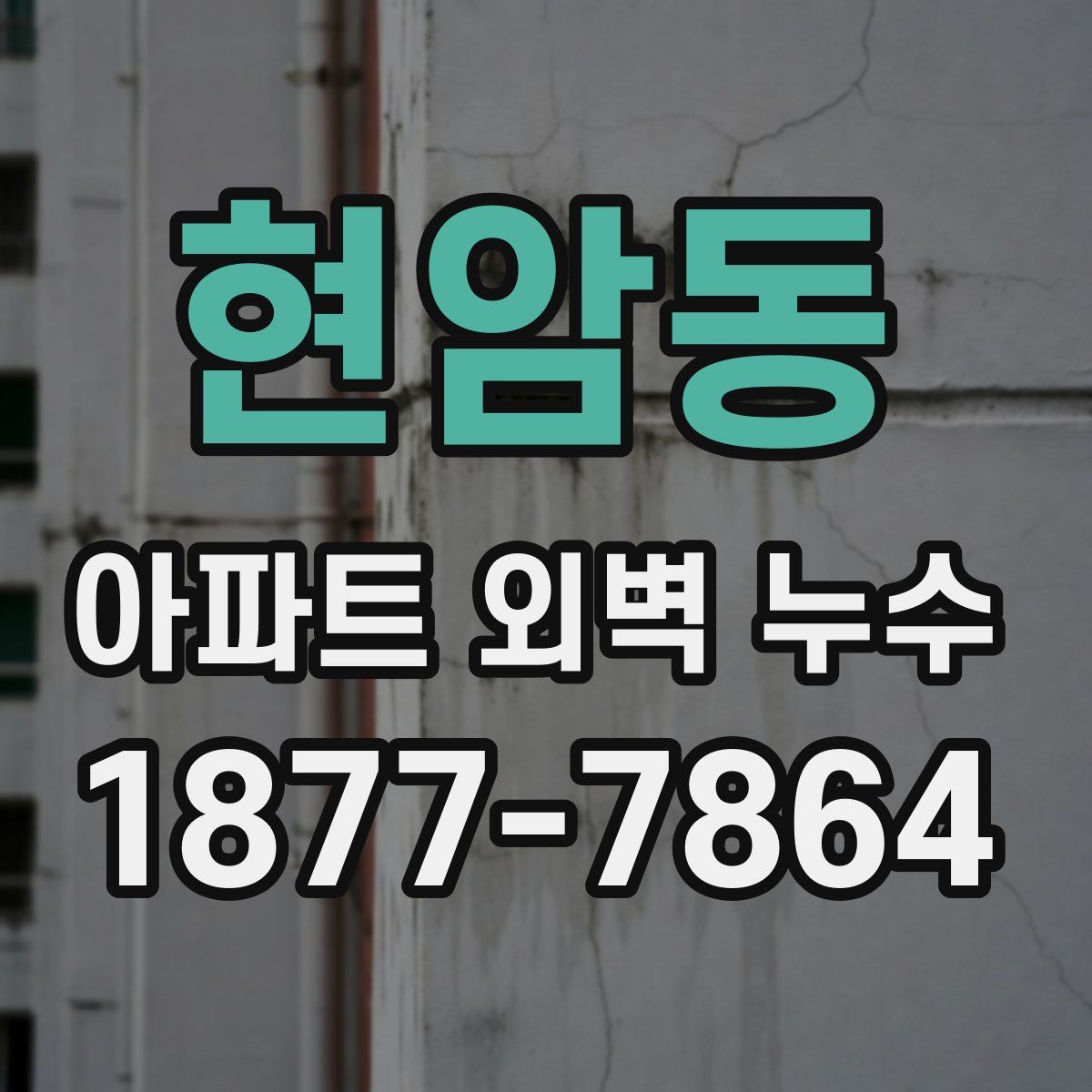 현암동 아파트 외벽 누수