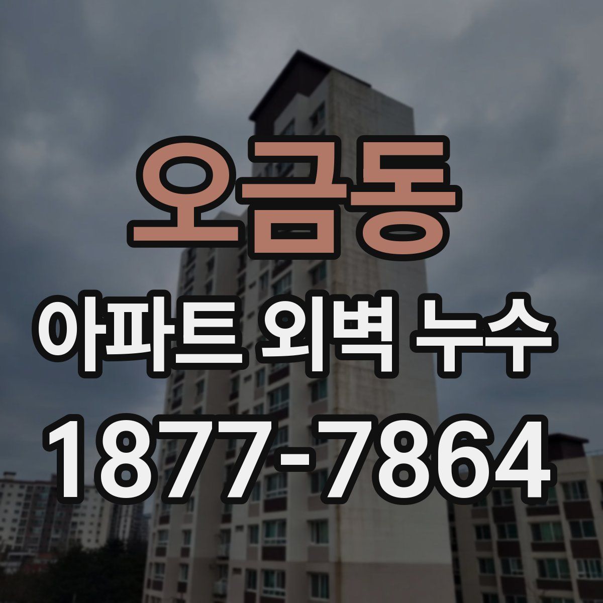 오금동 아파트 외벽 누수