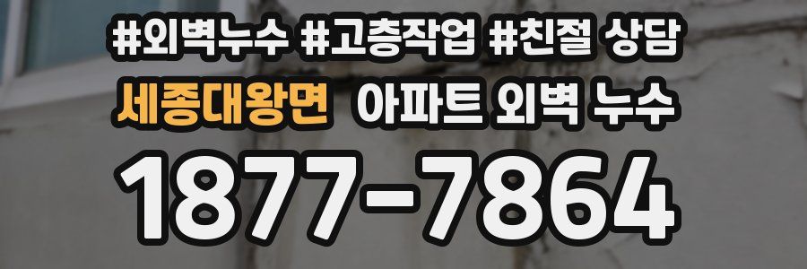 세종대왕면 아파트 외벽 누수