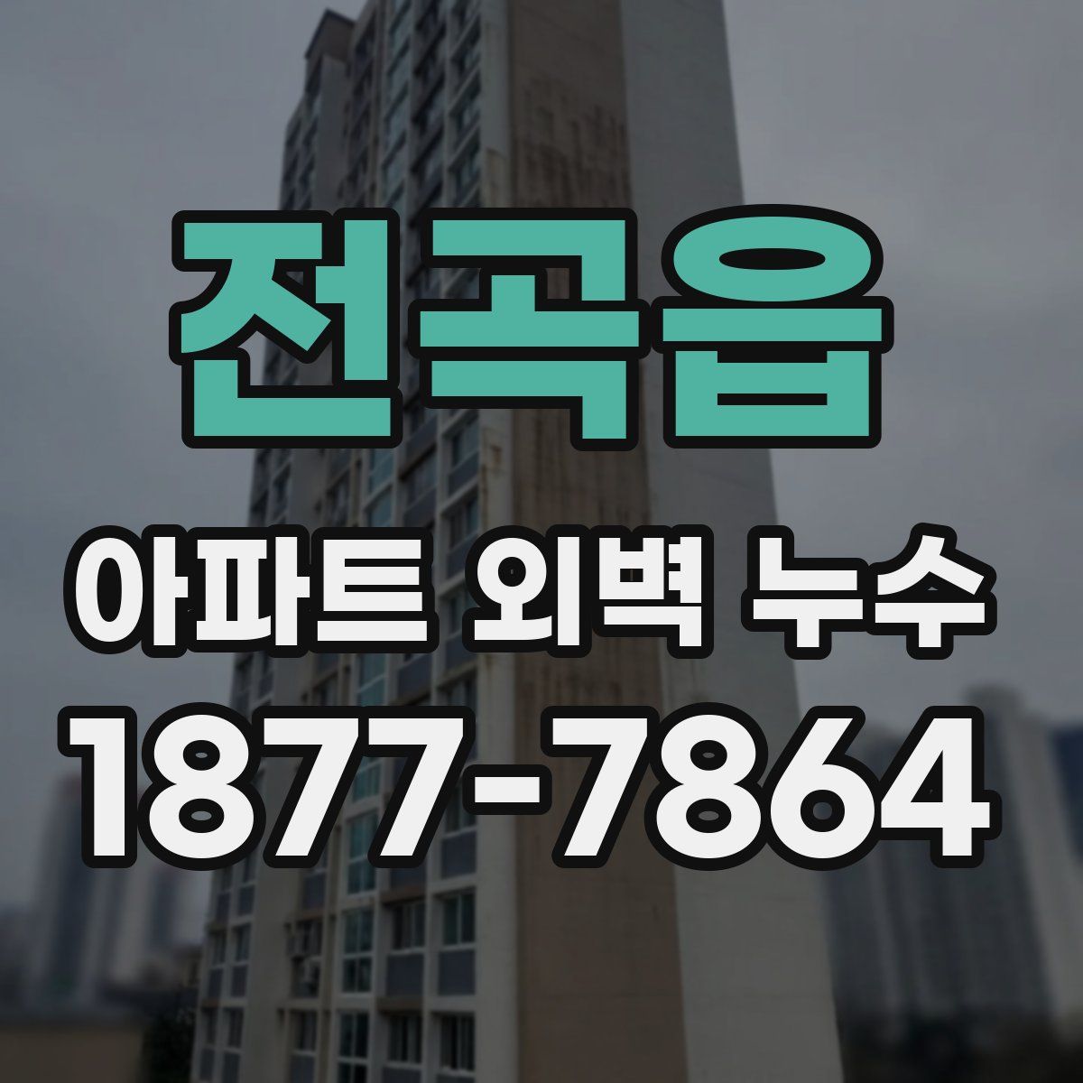 전곡읍 아파트 외벽 누수