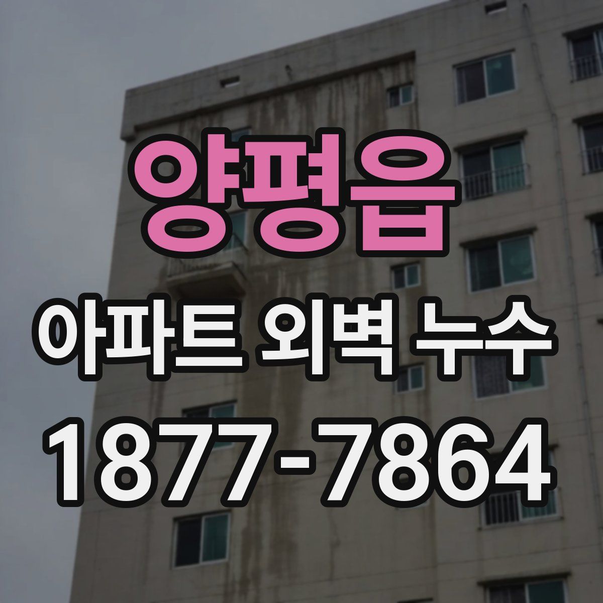 양평읍 아파트 외벽 누수
