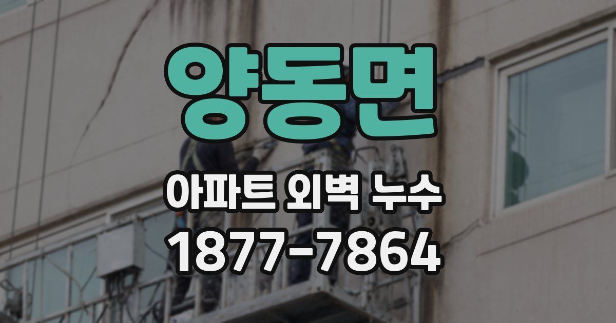 양동면 아파트 외벽 누수