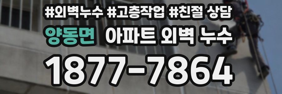 양동면 아파트 외벽 누수