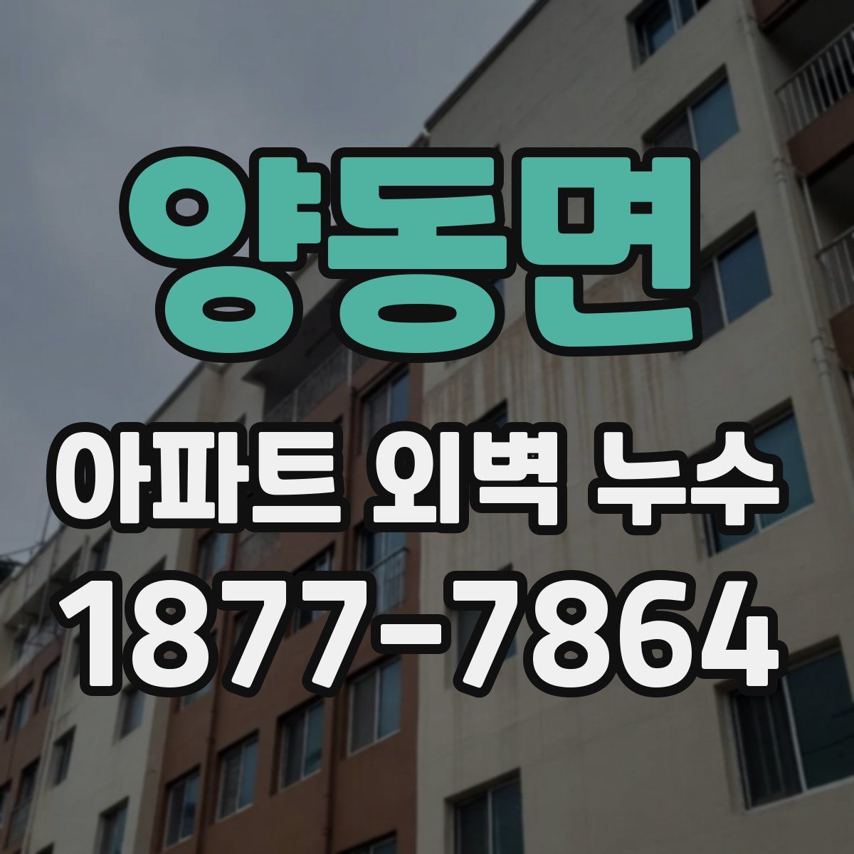 양동면 아파트 외벽 누수