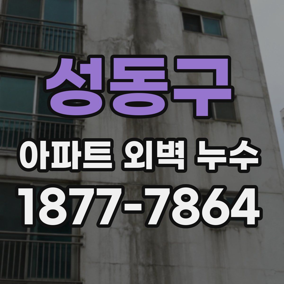 성동구 아파트 외벽 누수