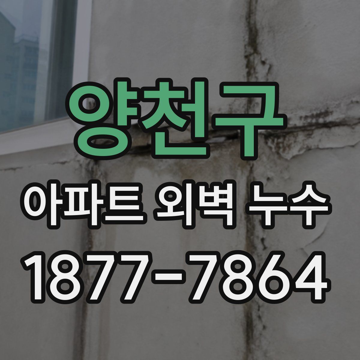 양천구 아파트 외벽 누수