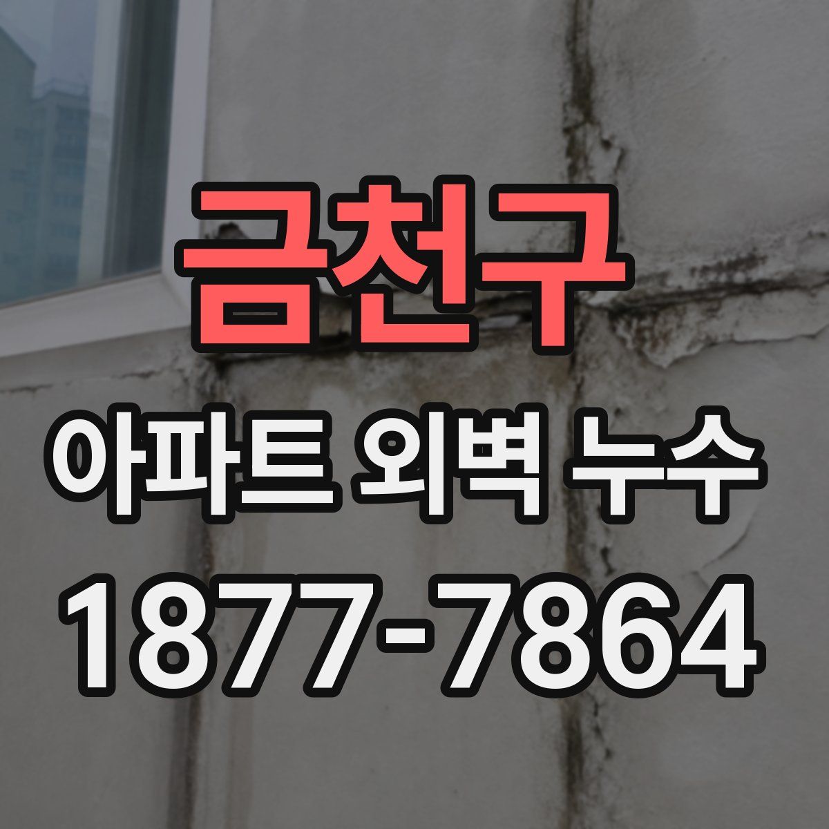 금천구 아파트 외벽 누수