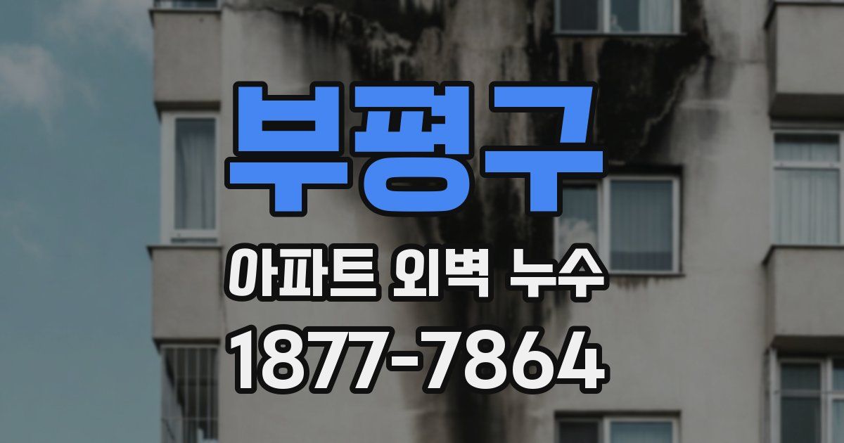 부평구 아파트 외벽 누수