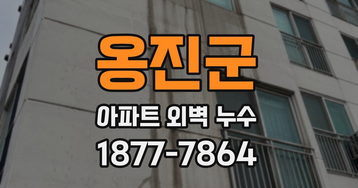 옹진군 아파트 외벽 누수