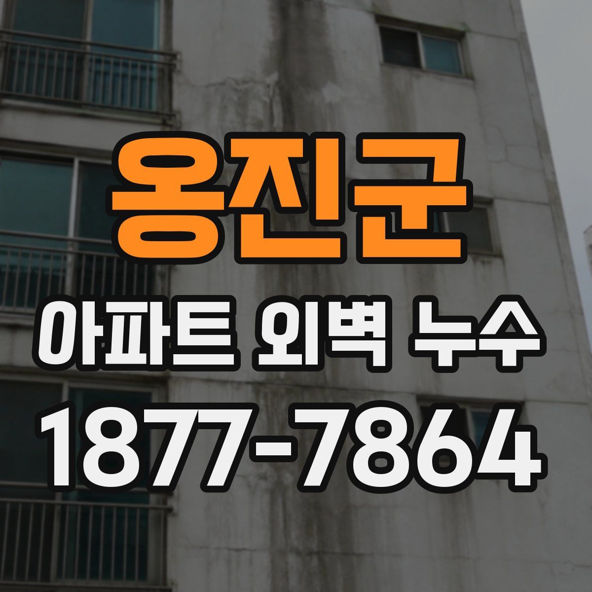 옹진군 아파트 외벽 누수
