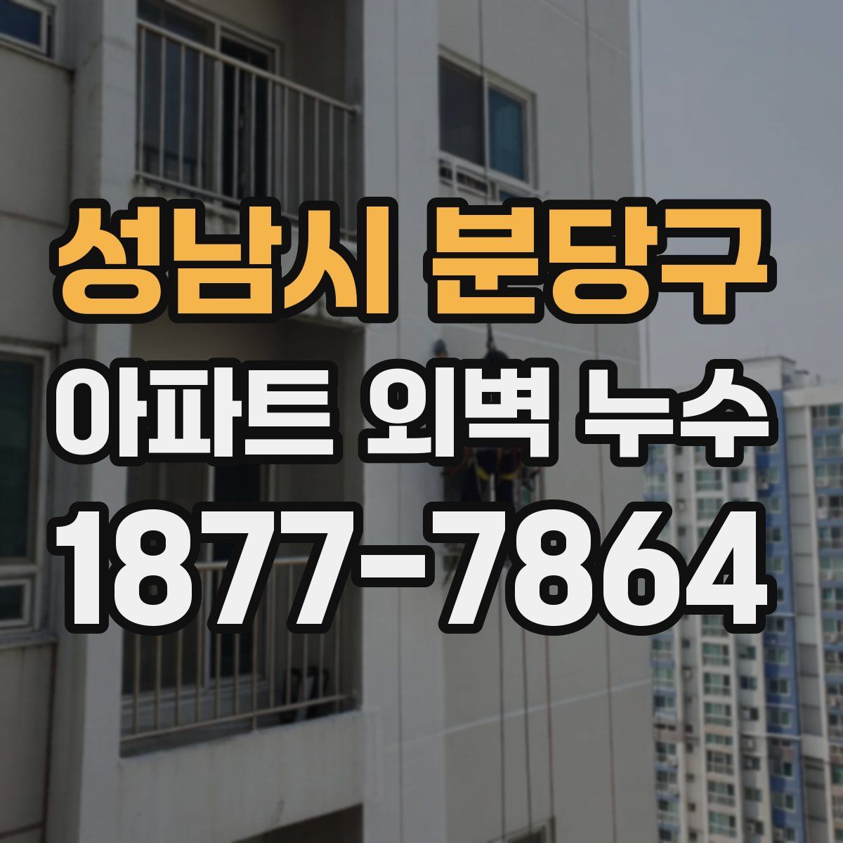 성남시 분당구 아파트 외벽 누수