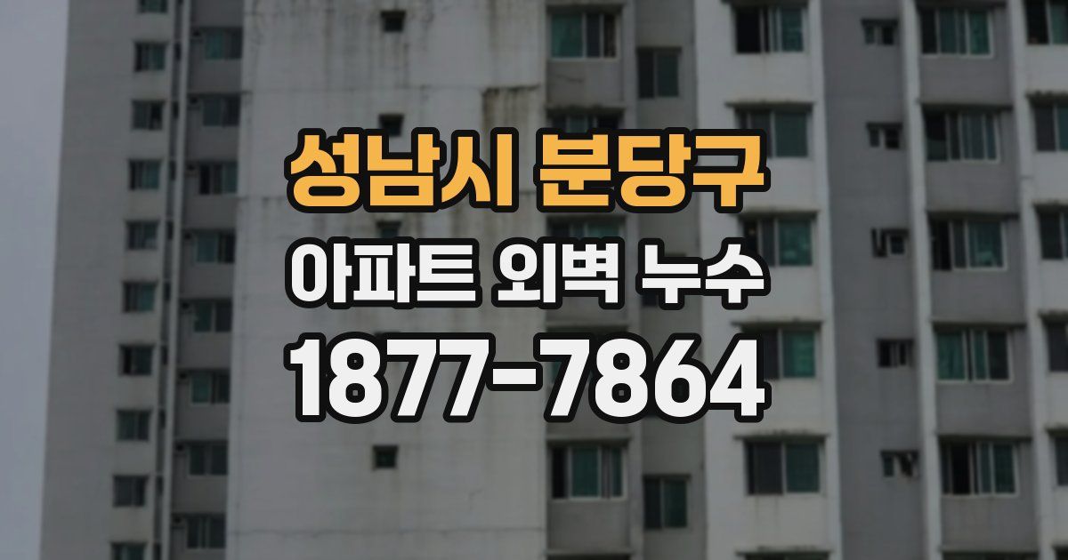 성남시 분당구 아파트 외벽 누수